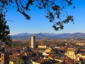 View from the Torre Guinigi, Lucca, Italy