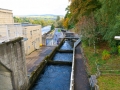 The Fish Ladders, Pitlochry Dam