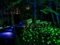 The Enchanted Forest, Pitlochry, Scotland