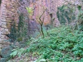 Grounds by Roslin Castle