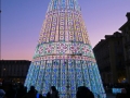 Christmas Tree Display in Piazza Castello, Turin